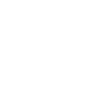 Logo Agro Artemis